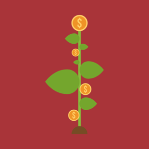 Financial Wellness